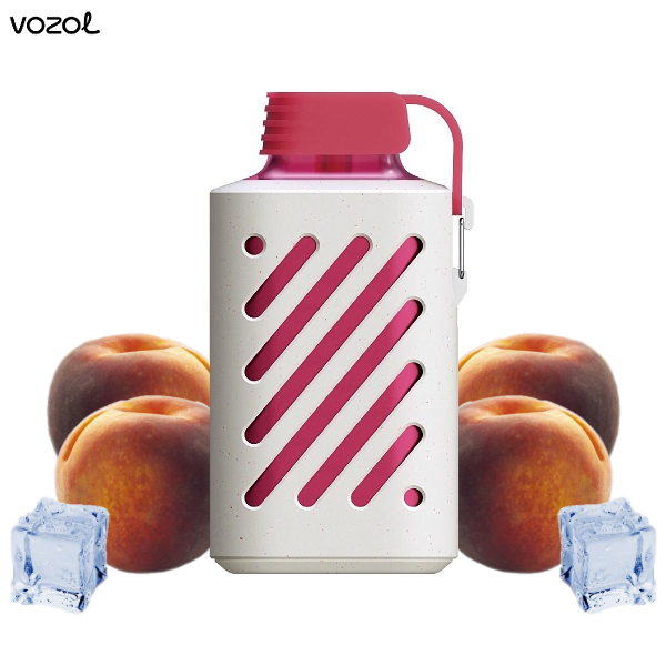 Vozol Gear 10000 Peach Ice Einweg E-Zigarette