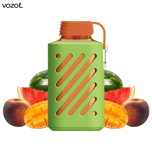 Vozol Gear 10000 Peach Mango Watermelon Einweg E-Zigarette